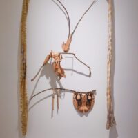 Tricia Flanagan BIO-ACOUSTIC GLEANER photo: Jade Xuan