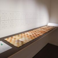 Tricia Flanagan DYE SAMPLER photo: Jade Xuan