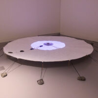 Tricia Flanagan TREE SKIRT photo: Jade Xuan