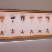 Tricia Flanagan DUTHCHAS photo: Jade Xuan