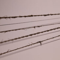 Tricia Flanagan FIBRE TO ROPE (Durational performance) photo: Jade Xuan