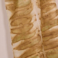 Tricia Flanagan BIO-ACOUSTIC GLEANER photo: Jade Xuan