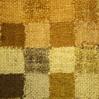 Tricia Flanagan DYE SAMPLER photo: Tricia Flanagan