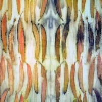 Tricia Flanagan DYE SAMPLER photo: Tricia Flanagan