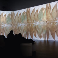 Tricia Flanagan BRIGALOW BELT photo: Kat Valentine