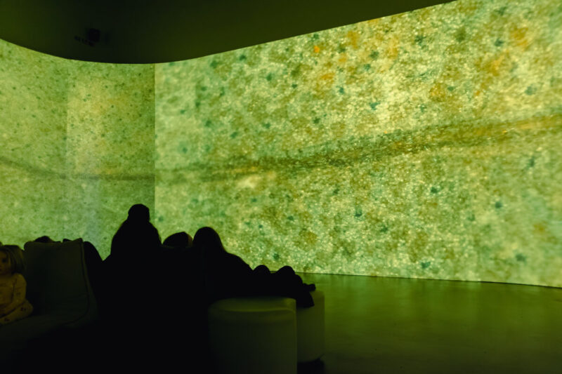 Tricia Flanagan BRIGALOW BELT photo: Kat Valentine