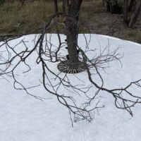 Tricia Flanagan TREE SKIRT photo: Sue Midgley