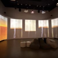 Tricia Flanagan BRIGALOW BELT photo: Jade Xuan