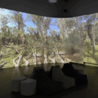 Tricia Flanagan BRIGALOW BELT photo: Tricia Flanagan