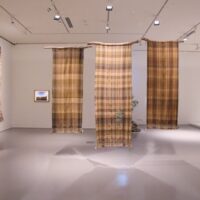 Tricia Flanagan WARRUMBUNGLE, KAPUTAR AND TOWARRI TARTANS photo: Jade Xuan