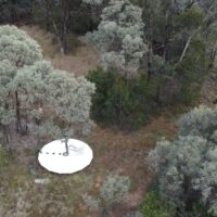 Tricia Flanagan TREE SKIRT photo: Patrick Spicer