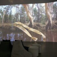 Tricia Flanagan BRIGALOW BELT photo: Jade Xuan