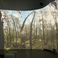 Tricia Flanagan BRIGALOW BELT photo: Jade Xuan