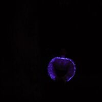 Tricia Flanagan TETE (Tree Energy Translator Empath) photo: Sue Midgley