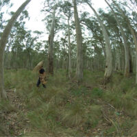 Tricia Flanagan BIO-ACOUSTIC GLEANER photo: Patricia Flanagan